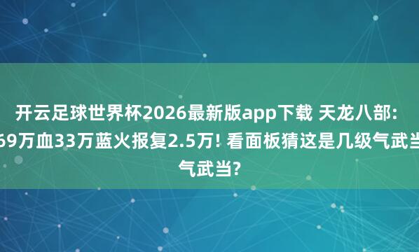 开云足球世界杯2026最新版app下载 天龙八部: 169万血33万蓝火报复2.5万! 看面板猜这是几级气武当?
