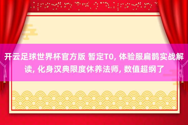 开云足球世界杯官方版 暂定T0, 体验服扁鹊实战解读, 化身汉典限度休养法师, 数值超纲了