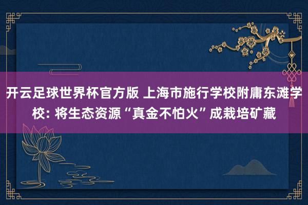 开云足球世界杯官方版 上海市施行学校附庸东滩学校: 将生态资源“真金不怕火”成栽培矿藏