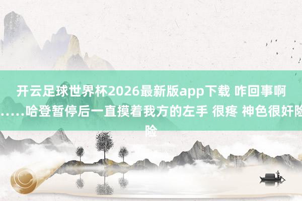 开云足球世界杯2026最新版app下载 咋回事啊……哈登暂停后一直摸着我方的左手 很疼 神色很奸险