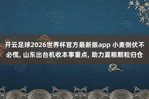 开云足球2026世界杯官方最新版app 小麦倒伏不必慌， 山东出台机收本事重点， 助力夏粮颗粒归仓