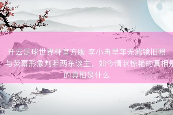 开云足球世界杯官方版 李小冉早年无滤镜旧照流出，与荧幕形象判若两东谈主，如今情状惊艳的真相是什么
