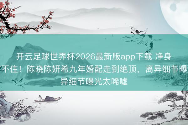 开云足球世界杯2026最新版app下载 净身出户也留不住！陈晓陈妍希九年婚配走到绝顶，离异细节曝光太唏嘘